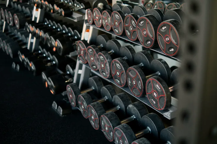 Rack d'haltères du plateau de musculation